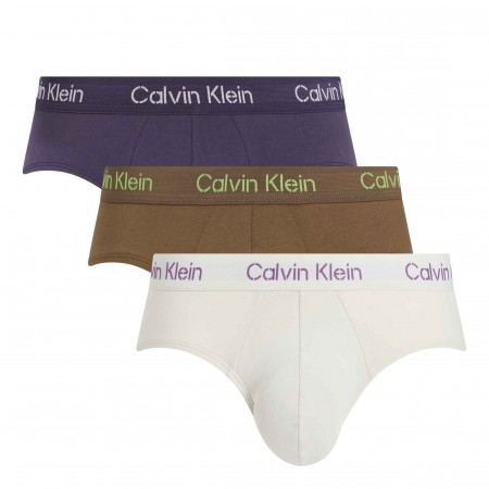 CALVIN KLEIN Textil Slip Pack 3 Multicolor 000NB3704A-FZ4