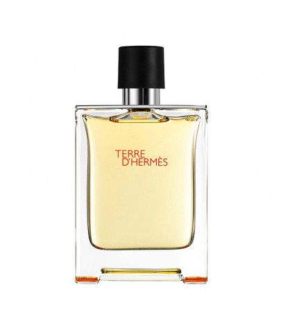 TERRE D'HERMES. HERMES Eau de Parfum for Men,  Spray 200ml